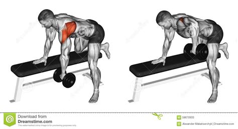 Image Result For Target Rear Deltoid Dumbbell Exercise Big Muscle