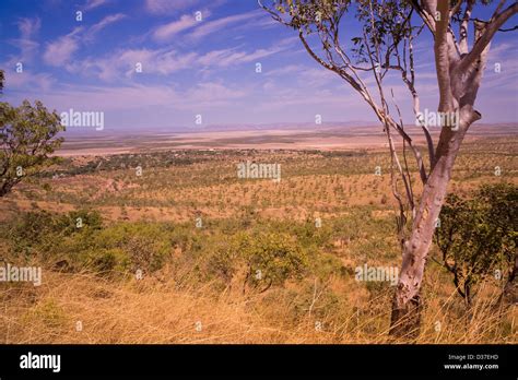 Wyndham East Kimberley Region Western Australia Stock Photo Royalty