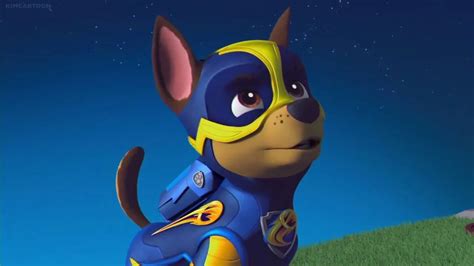Chase Skye And Chase Paw Patrol Photo 42952060 Fanpop