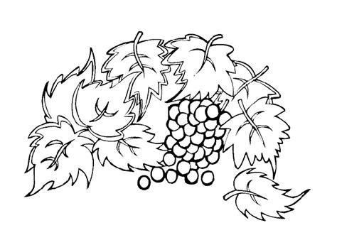 Leaves coloring pages – Coloring pages