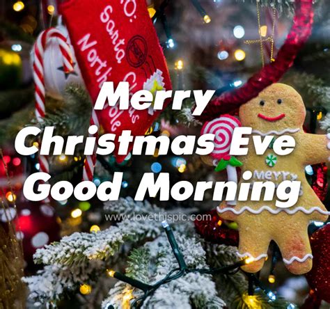 Christmas Tag And Gingerbread Merry Christmas Eve Good Morning Pictures