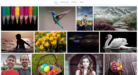 12 Best Websites With Free Stock Photos Free Psd Templates