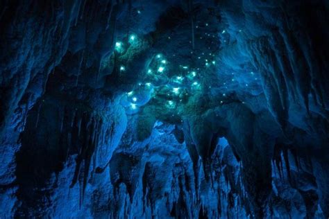 Breathtaking Photographs Of Bioluminescent Caves Will Inspire You To