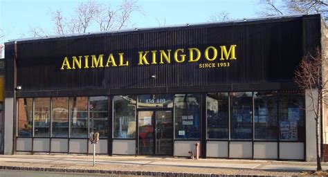 A pet store providing personalized service to help you find the whiteway pet shop. Animal Kingdom - 25 Photos - Pet Stores - 436-440 Main St ...