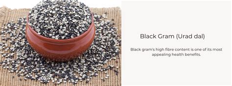 Black Gram Urad Dal Health Benefits Uses And Important Facts