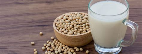 It's a plant product that is produced from soya beans. Soya Drink: Benefits, Nutrition & Risks | Holland & Barrett