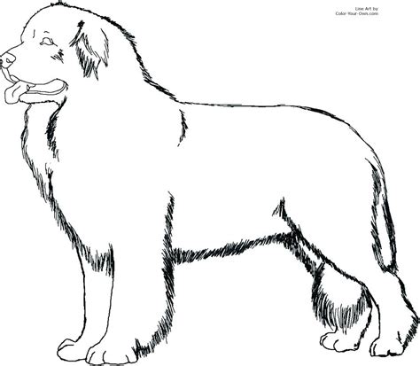 Lab Puppy Coloring Pages At Getdrawings Free Download