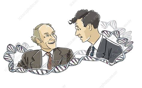 Watson And Crick Discoverers Of Dna Stock Image C0261482