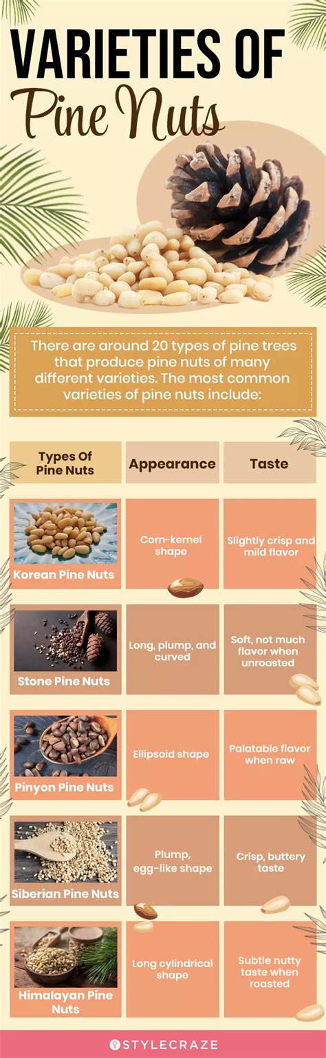 Nutrition Facts Of Pine Nuts Blog Dandk