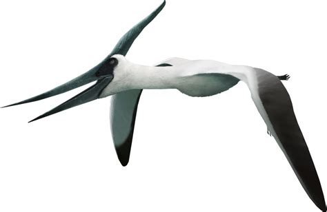 Pteranodon Sciifii Idea Wiki Fandom