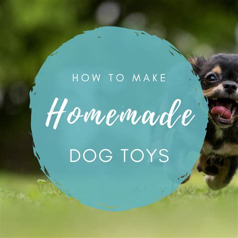How To Make Your Own Homemade Dog Toys Pethelpful By