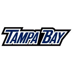 Tampa bay lightning bolt 3d paf logo embroidery design. Tampa Bay Lightning Wordmark Logo | Sports Logo History