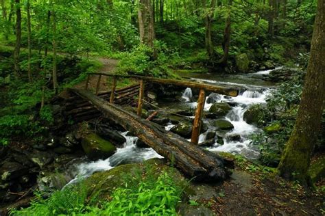Hike Rainbow Falls Trail Great Smoky Mountains National Park