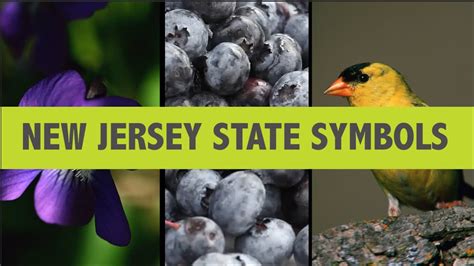 Do You Know These Nj State Symbols Youtube