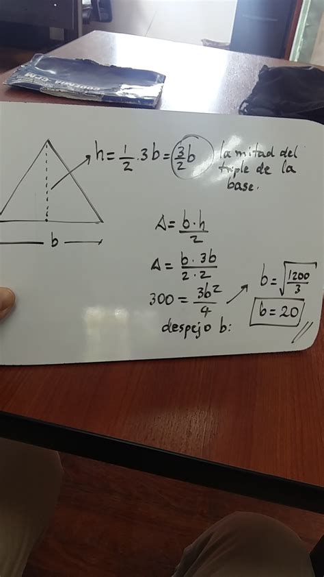 Calcula La Longitud De La Base Y De La Altura De Un Triangulo Isosceles
