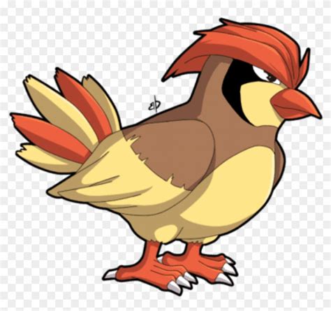Free Png Pokemon Bird With Hair Png Image With Transparent Bird