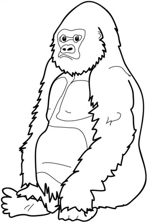 gorilla coloring page coloring pages   pinterest coloring