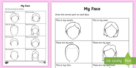 My Facial Features Worksheet Worksheet Teacher Made