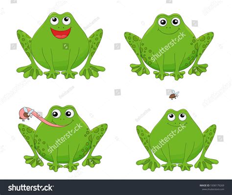 Cute Cartoon Frogs Set Vector Amphibian Stock Vector Royalty Free