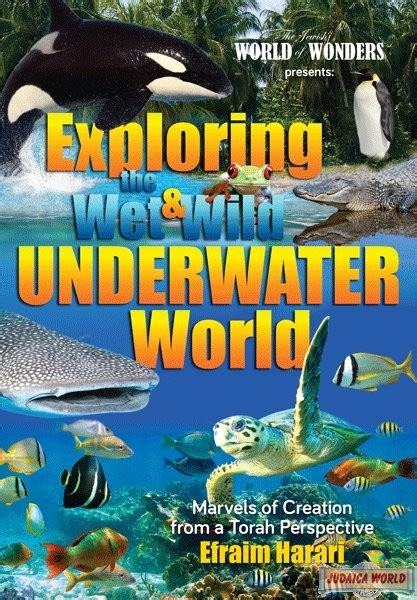 Exploring The Wet And Wild Underwater World