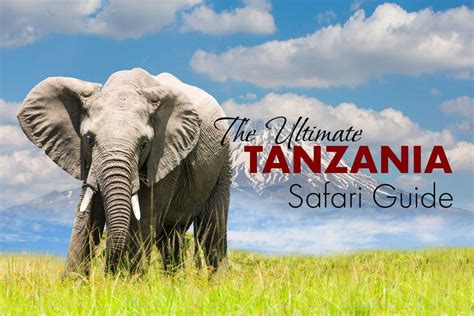 Ultimate Tanzania Safari Guide For Planning Your First Trip