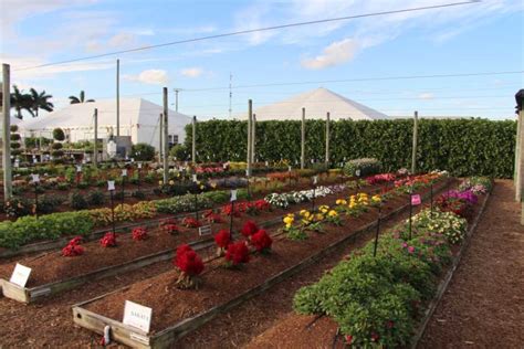Costa Farms Season Premier Provides Sneak Peek At New Varieties For