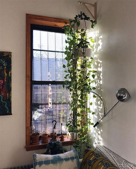 36 Cute Hanging Plants To Decorate Your Interior Home Best Indoor