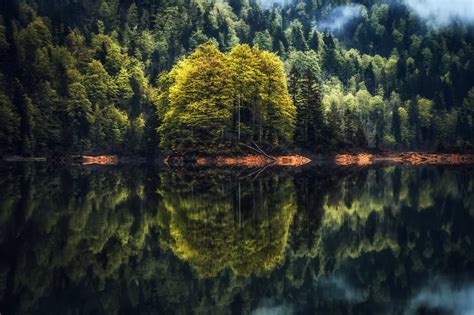 Wallpaper Reflection Water Nature Trees 2047x1365