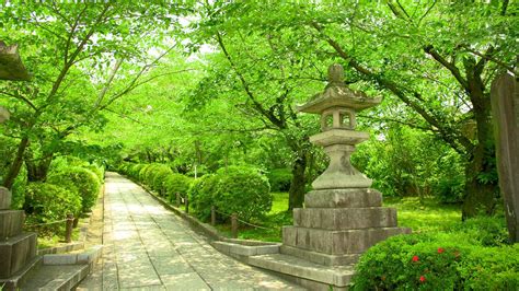 A tale of two fascinating cities. Cheap Flights to Kyoto, Japan $324.90 in 2017 | Expedia