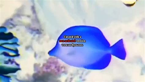 Baby Einstein Baby Neptuno Descubriendo El Agua In G Major Video
