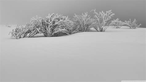 We did not find results for: Winter White Snow Aesthetic Black and White Ultra HD ...