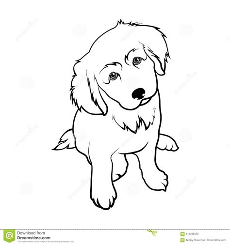 We wrote an article about 10 most dangerous dog breeds here and it looks like there are a lot of dog fans in our readers. Dog Breed Labrador. Puppy Labrador Stock Vector ...