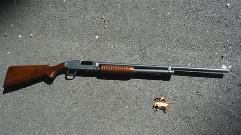 Winchester Model 12 1948 Value The Firearms Forum The Buying