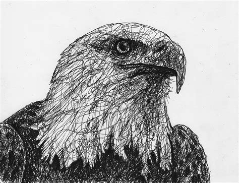 Scribble Drawing Of An Eagle By Filip Walczak Scribbled Eagle Animal