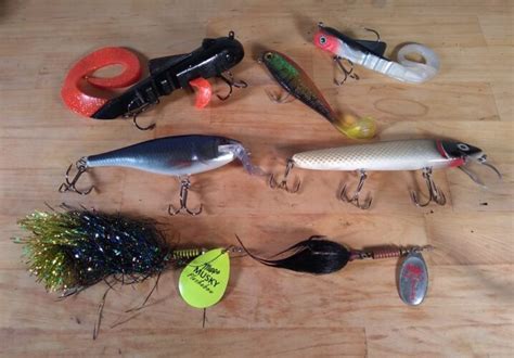Trophy Muskies Improve The Odds Pike And Musky