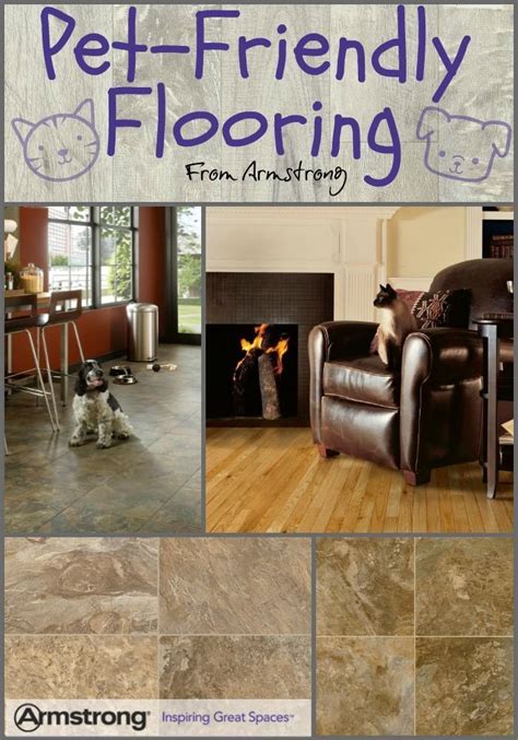 We are researching pet friendly flooring and have 4 dogs, 2 cats, and 5 rabbits. Pets Home : Want the best pet-friendly flooring? What ...