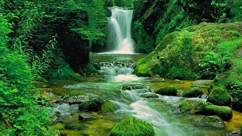 Green Waterfall Hd Wallpaper Background Image