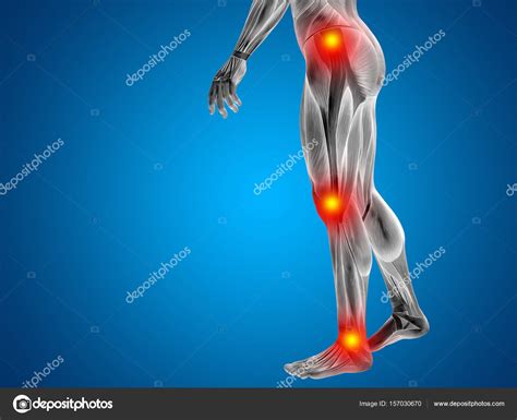 We did not find results for: Anatomy lower body with articular pain — Stock Photo ...