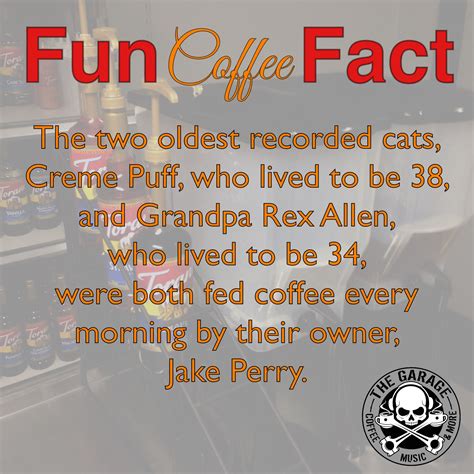 coffee makes you live longer creme puff fun facts live long