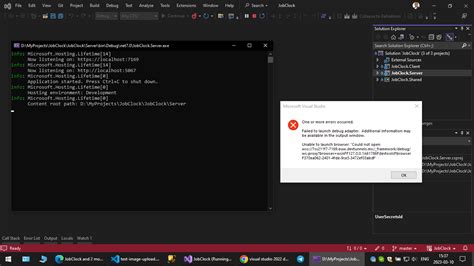Visual Studio Dev Tunnel On Blazor Wasm Hosted Asp Net Core Hot Sex Hot Sex Picture