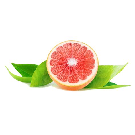 Grapefruit All Things Citrus Citrus Extracts