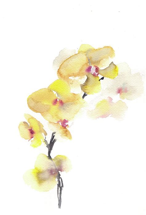 Yellow Orchids Watercolor Painting Painting By Sophia Rodionov Fine