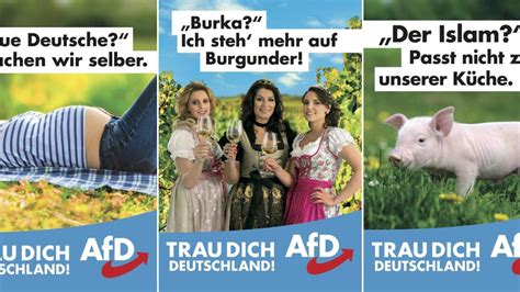 Bundestagswahl 2017 Afd Streitet über Wahlplakate Welt