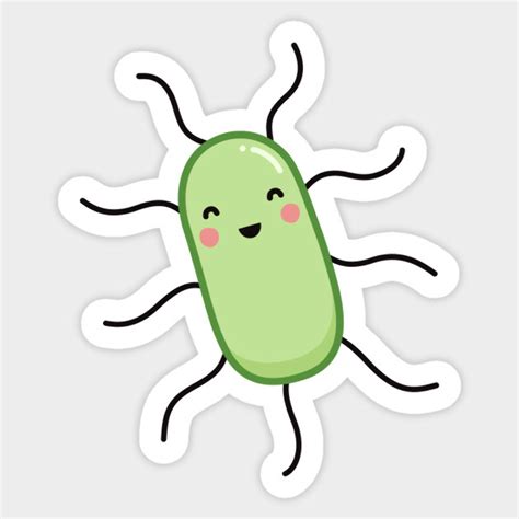 Download High Quality Bacteria Clipart E Coli Transparent Png Images