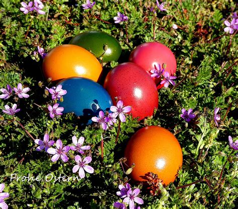 Musikgrußkarte für frohe ostern ich wünsche dir ein schönes osterfest liebe grüße von mir. Frohe Ostern Foto & Bild | gratulation und feiertage ...