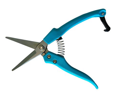 Typhon East Flower Clippers Pruning Shears Thinning Shears Sharp