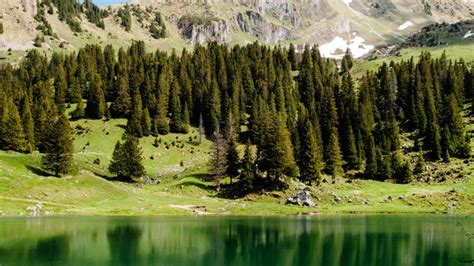 Green Landscape 4k Wallpaper Mountain Fog Trees Forest House