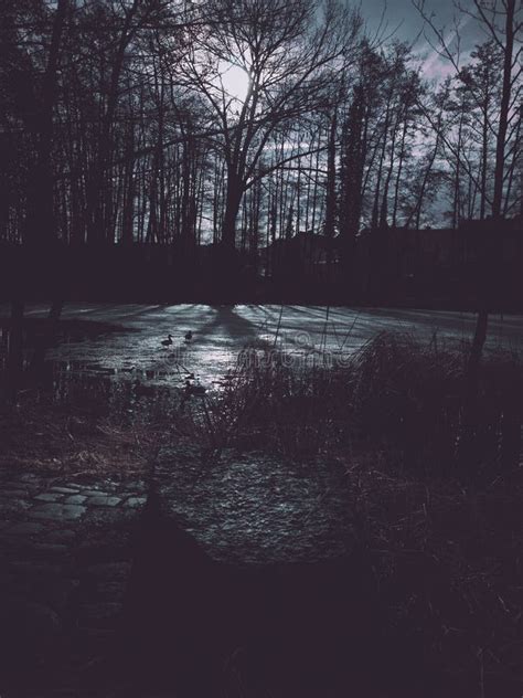 Frozen Lake At Night Reflecting Moonlight Stock Image Image Of Dark