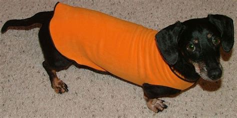 Cozy Fleece Dachshund Sweater Dachshund Sweater Dachshund Dog Harness