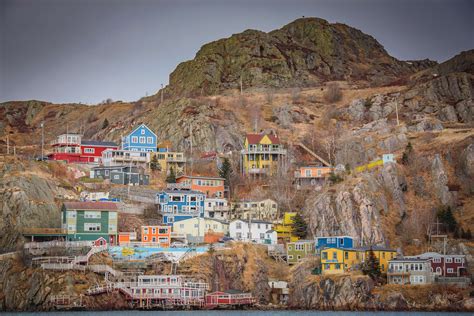 1306005 Newfoundland Wallpaper Collection 1600x1200